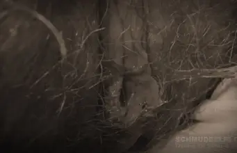 Dreckige Möse mit Fischgeruch.