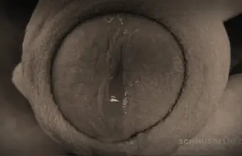 Schwanzschleim Beim Date den Schwanzschleim aus der Nille lecken.